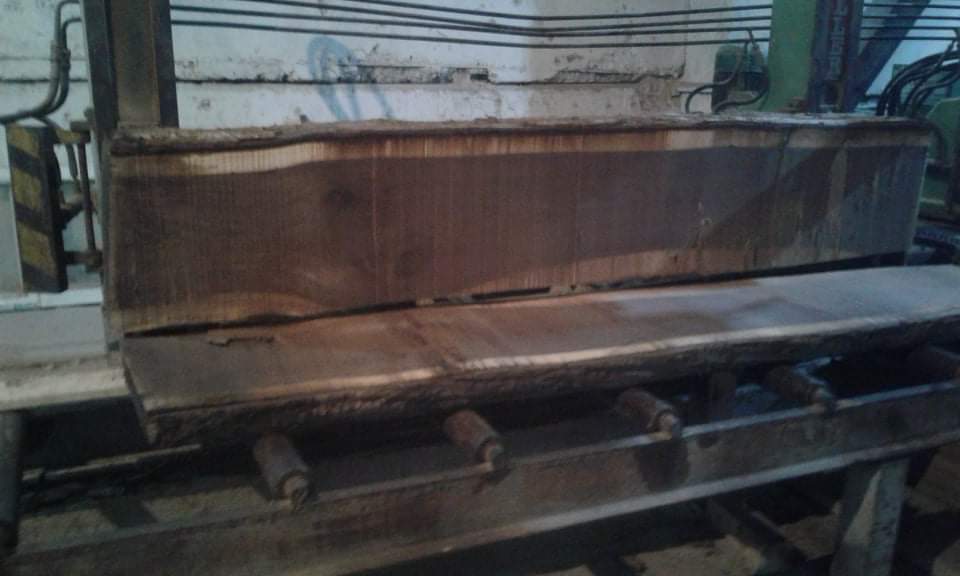 Gürcistan Tomruk Kesimi