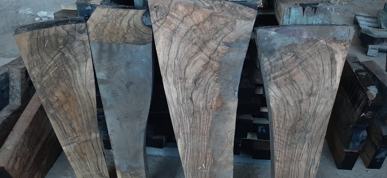 Gürcistan Tomruk Kesimi