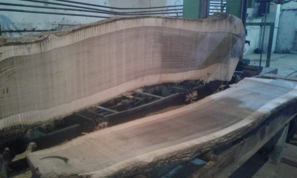 Gürcistan Tomruk Kesimi