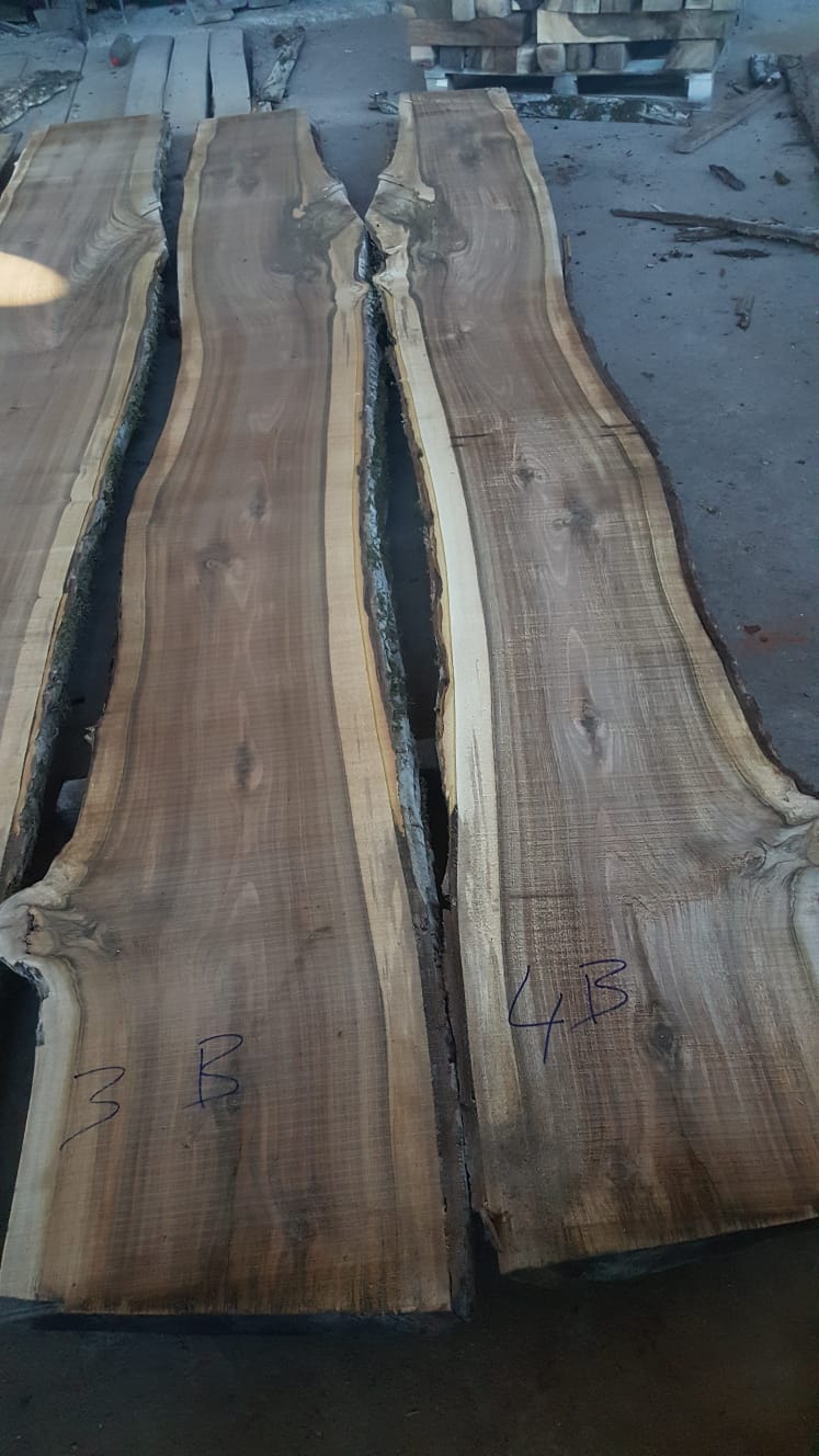 Gürcistan Tomruk Kesimi