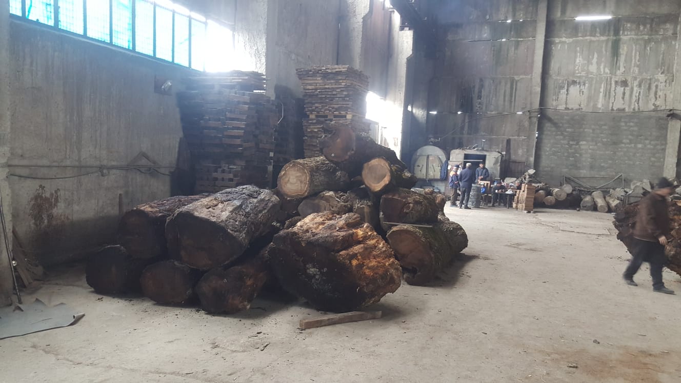 Gürcistan Tomruk Kesimi