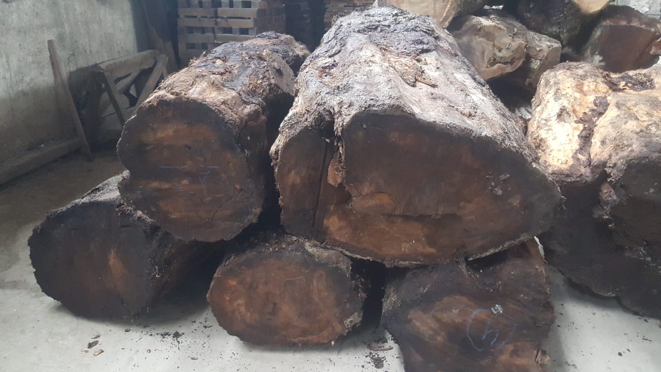 Gürcistan Tomruk Kesimi