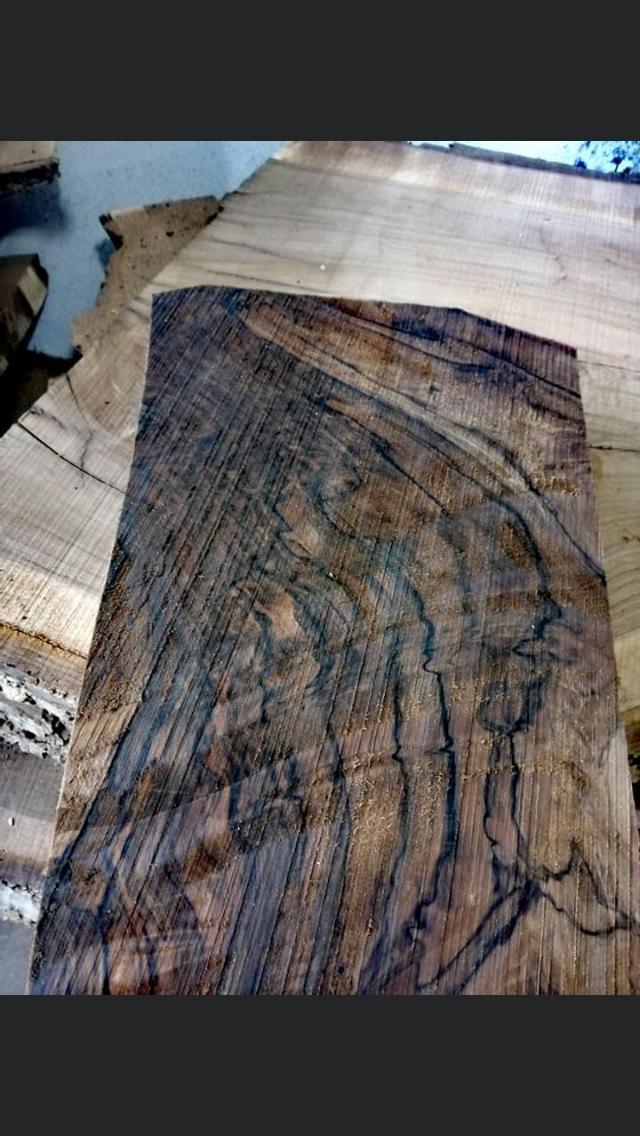 Gürcistan Tomruk Kesimi